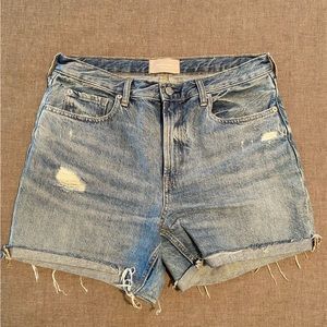 Everlane The Denim Short